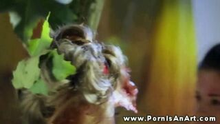 Dupla forró csajszi nyaldosja a punciját a szabadban