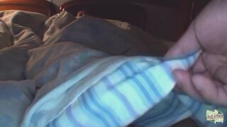 Ritka kincs: kettő ázsiai maca vad szopós hármasa